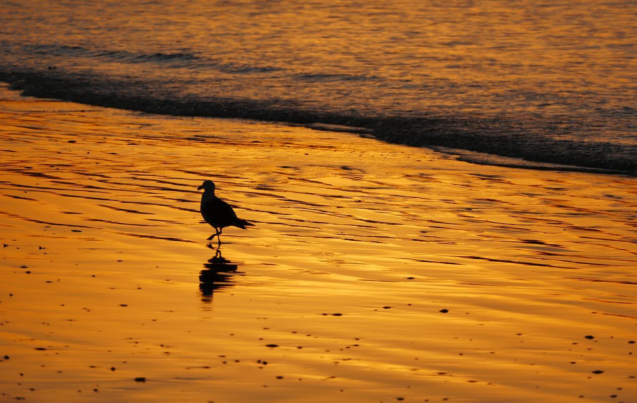 Flamingo Holiday Home Paternoster Buitenkant foto